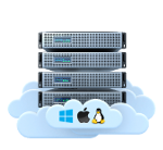 VPS13