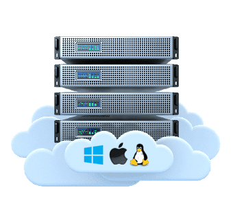 VPS14
